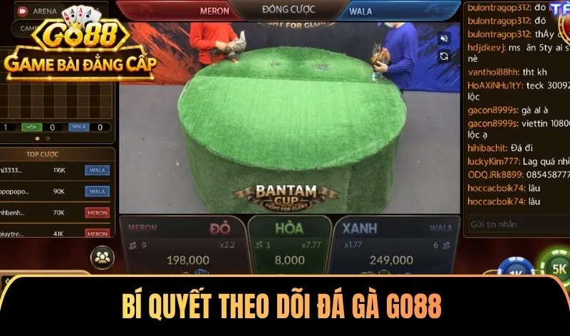 Bí quyết theo dõi đá gà Go88 đạt hiệu quả cao nhất