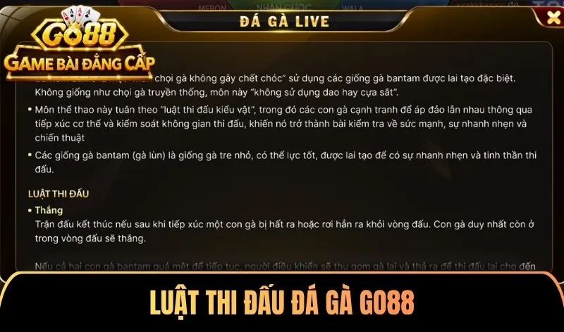 Luật thi đấu Đá gà Go88